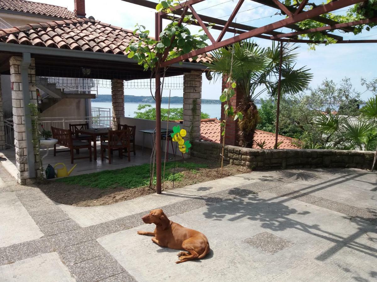 Cernetic Holiday home